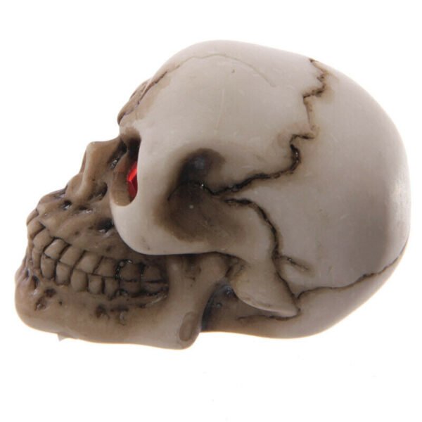 Home Decor~Novelty Mini Red Eyed Skull Decoration Ornament Fantasy Gothic Decoration