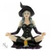 Magicun Giftware~Nemesis Zelda Rosa Aradia Regan Witch Fairy Figurine Skull Ornament Cat Decor