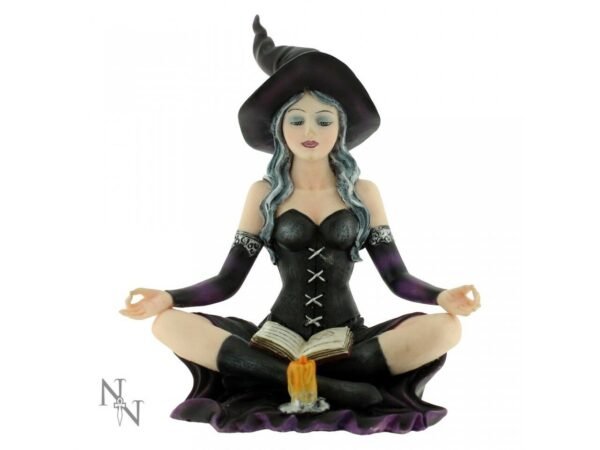 Magicun Giftware~Nemesis Zelda Rosa Aradia Regan Witch Fairy Figurine Skull Ornament Cat Decor