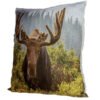 Home Decor~Cushion with Insert - Moose Photo 50 x 50cm