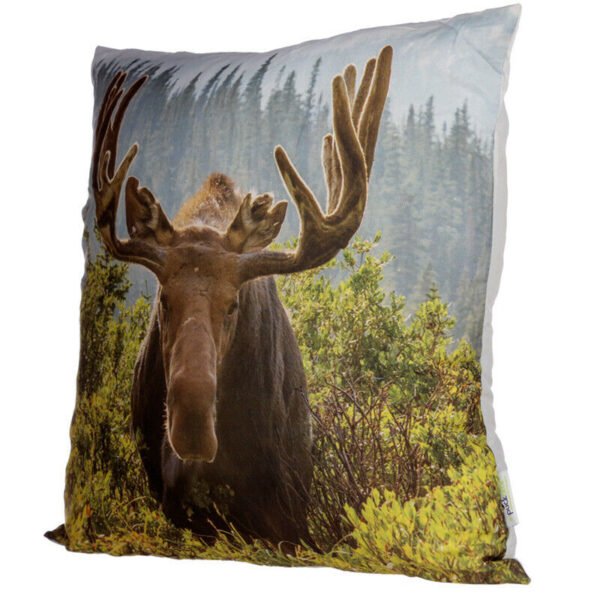 Home Decor~Cushion with Insert - Moose Photo 50 x 50cm