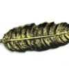 Home Fragrances ~Golden Metal Narrow Leaf Incense Smudge Burner, Home Decor, ETC. 10"L 3"W