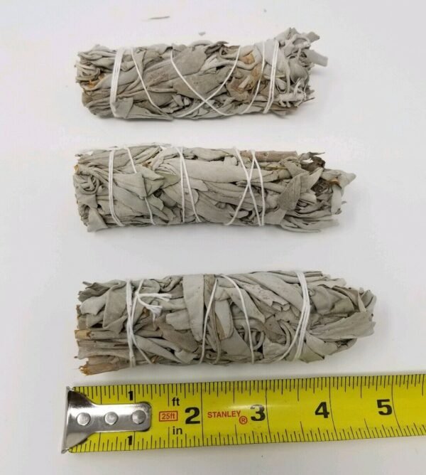 Palo Santo & Sage~White Sage Smudge Stick 4" - 5" 3 Pack (Herb House Cleansing Negativity Removal)