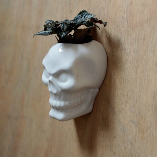 Home Decor~Decorative Ceramic Indoor Wall Planter - Skull