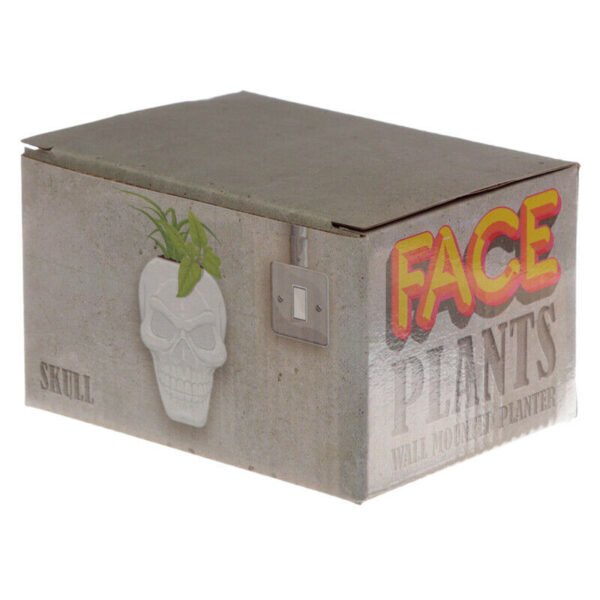 Home Decor~Decorative Ceramic Indoor Wall Planter - Skull