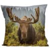 Home Decor~Cushion with Insert - Moose Photo 50 x 50cm