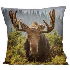 Home Decor~Cushion with Insert - Moose Photo 50 x 50cm