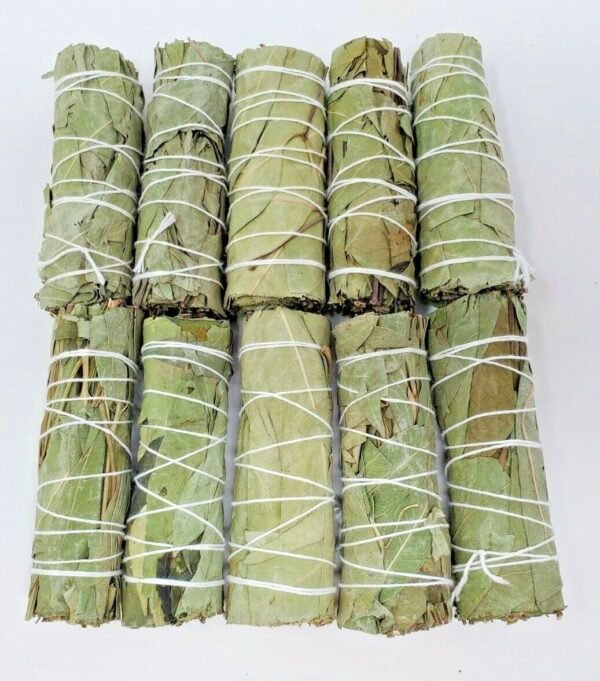 Palo Santo & Sage~2 Eucalyptus Sage Smudge Bundle 4"+ House Cleansing Negativity Removal