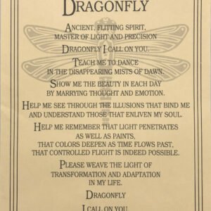Witchcraft~Dragonfly Prayer Spirit Animal Parchment Page Poster Book Of Shadows Wicca Pagan