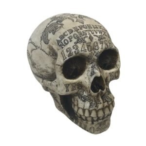 s-l1600_e8bcbcbc-93dc-4c4b-946a-7233eb55cec3 Witchcraft~Paranormal Carved Ouija Symbols Skull Skeleton Occult Figurine Halloween Head