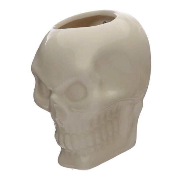 Home Decor~Decorative Ceramic Indoor Wall Planter - Skull