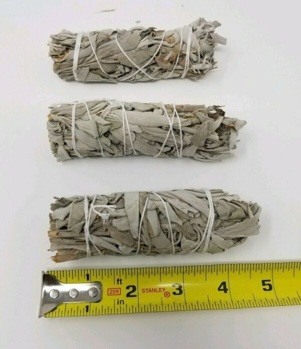 Palo Santo & Sage~Lot 50 White Sage Smudge Stick Wands 4" - 5" House Cleansing Negativity Removal