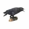 Magicun Giftware~Nemesis Raven's Ruf Figur Ornament Statue Gothic Edgar Po Rabe Dekor Geschenk