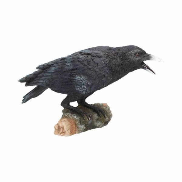 Magicun Giftware~Nemesis Raven's Ruf Figur Ornament Statue Gothic Edgar Po Rabe Dekor Geschenk
