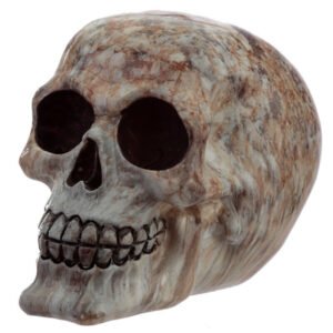 s-l1600_fbcaf831-3215-4a1c-a3b4-e7281b5ee31d Home Decor~Fantasy Marble Effect Skull Head Ornament Skeleton Fantasy Gothic Figurine