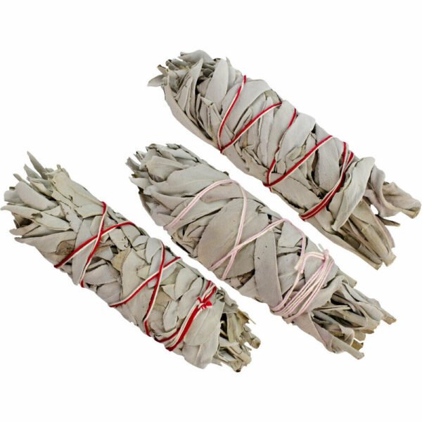 Palo Santo & Sage~California White Sage Smudge Incense 5"-6" Bundle (3 pcs) medium