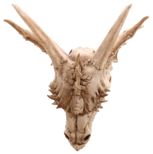 Collectable design~Decorative Fantasy Dragon Skull Figurine Ornament Fantasy Gothic Fantasy Gift