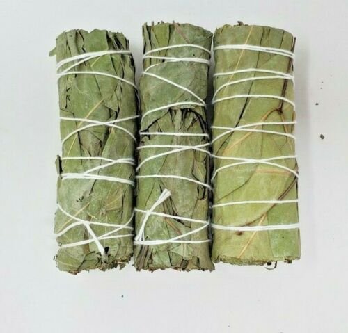 Palo Santo & Sage~5 Pack Eucalyptus Sage Smudge Bundle 4"+ House Cleansing Negativity Removal