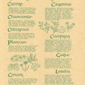 Witchcraft~Nine Healing Herbs Parchment Page Poster Book Of Shadows Wicca Pagan