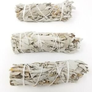 Palo Santo & Sage~White Sage Smudge Stick 4" - 5" 3 Pack (Herb House Cleansing Negativity Removal)
