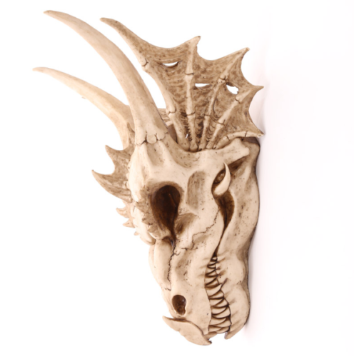Collectable design~Decorative Fantasy Dragon Skull Figurine Ornament Fantasy Gothic Fantasy Gift