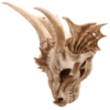 Collectable design~Decorative Fantasy Dragon Skull Figurine Ornament Fantasy Gothic Fantasy Gift