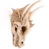 Collectable design~Decorative Fantasy Dragon Skull Figurine Ornament Fantasy Gothic Fantasy Gift