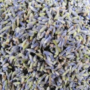 Home Fragrances ~French Lavender Dried Lavender Buds 1/2 Pound, New, Free Shipping