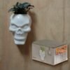 Home Decor~Decorative Ceramic Indoor Wall Planter - Skull
