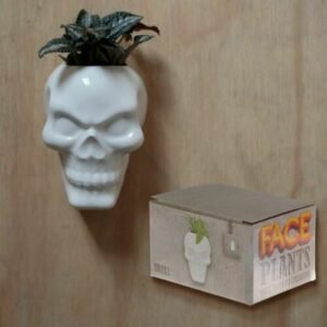 Home Decor~Decorative Ceramic Indoor Wall Planter - Skull