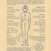 Witchcraft~The Chakras Parchment Page Poster Book Of Shadows