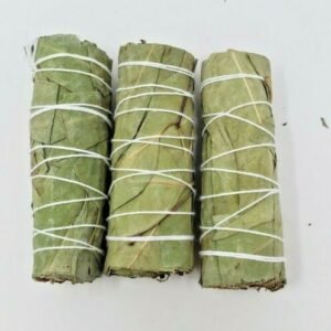 Palo Santo & Sage~3 Eucalyptus Sage Smudge Bundle 4"+ House Cleansing Negativity Removal