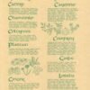 Witchcraft~Nine Healing Herbs Parchment Page Poster Book Of Shadows Wicca Pagan