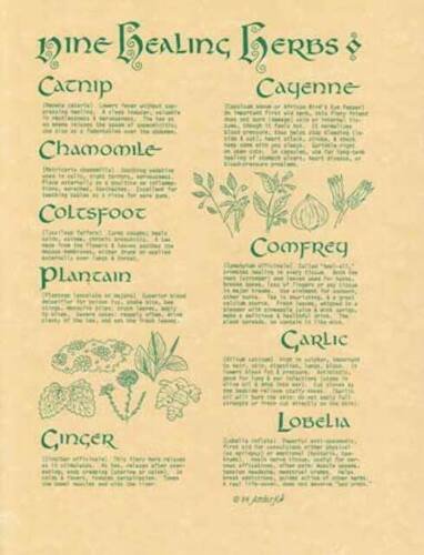 Witchcraft~Nine Healing Herbs Parchment Page Poster Book Of Shadows Wicca Pagan