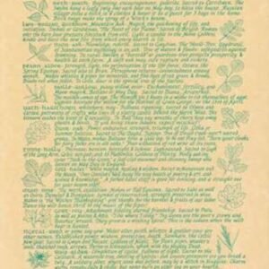 Witchcraft~Magical Trees In Celtic Lore Parchment Page Poster Book Of Shadows Wicca Pagan