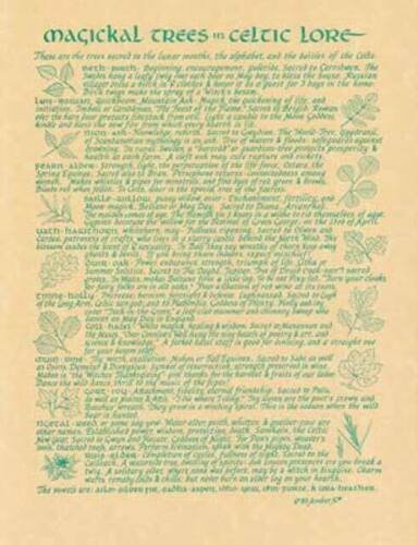 Witchcraft~Magical Trees In Celtic Lore Parchment Page Poster Book Of Shadows Wicca Pagan