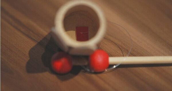 traditional chinese handmade toy bamboo cicada sound game DIY wood toy for kids novelty Decoration crafts knick-knack   Game related