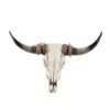 Western Home Decor: Animals Heads Wall Decor Longhorn Cow Skull