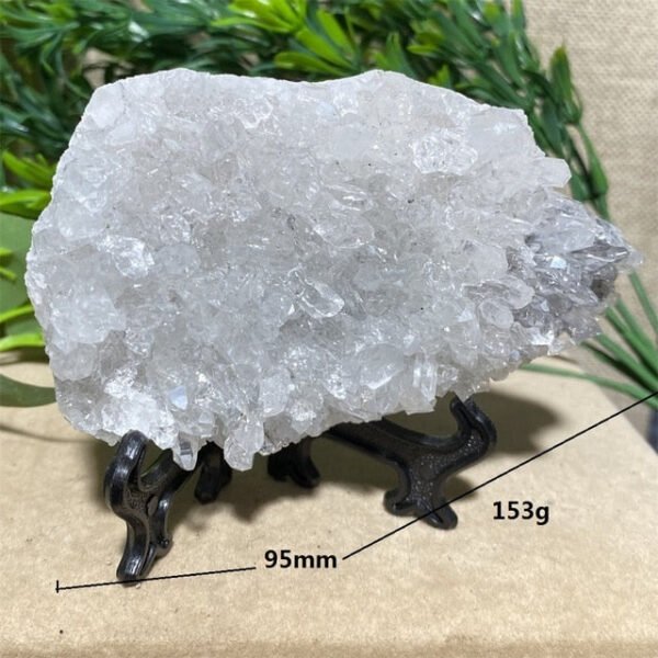 Chrysanthemum Stone Natural Crystal Healing Geode Specimen Mineral Rew Reiki Wicca Meditation Living Home Decorative Room