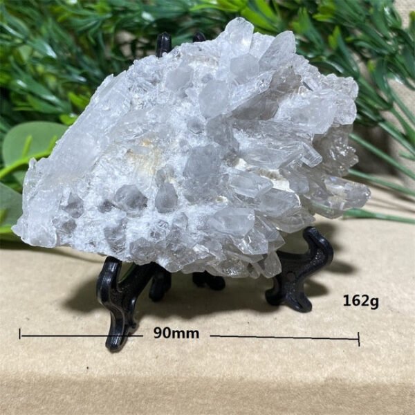 Chrysanthemum Stone Natural Crystal Healing Geode Specimen Mineral Rew Reiki Wicca Meditation Living Home Decorative Room