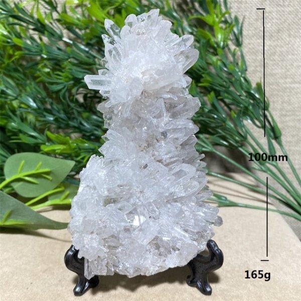 Chrysanthemum Stone Natural Crystal Healing Geode Specimen Mineral Rew Reiki Wicca Meditation Living Home Decorative Room