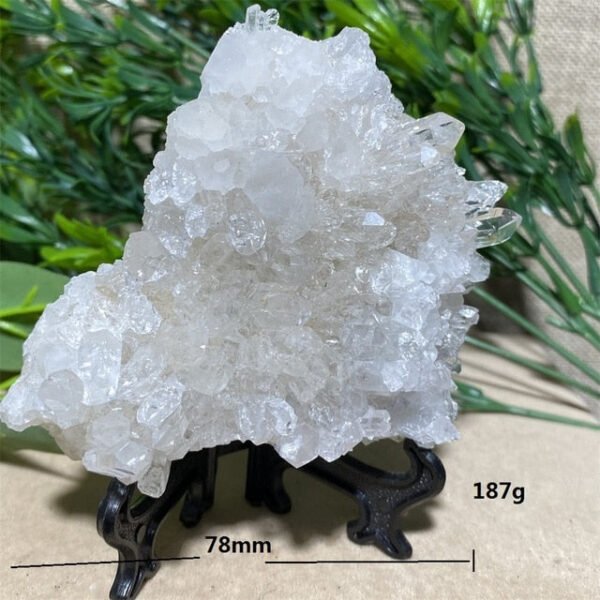 Chrysanthemum Stone Natural Crystal Healing Geode Specimen Mineral Rew Reiki Wicca Meditation Living Home Decorative Room