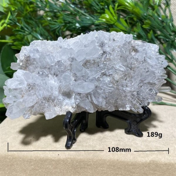 Chrysanthemum Stone Natural Crystal Healing Geode Specimen Mineral Rew Reiki Wicca Meditation Living Home Decorative Room