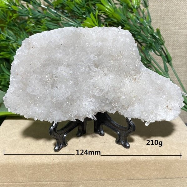 Chrysanthemum Stone Natural Crystal Healing Geode Specimen Mineral Rew Reiki Wicca Meditation Living Home Decorative Room